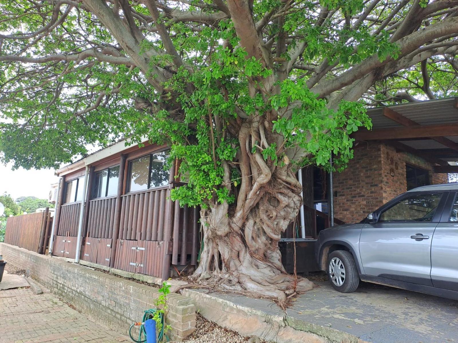 Seaviews Holiday Resort Jeffreys Bay Bagian luar foto